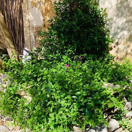Appartement Avec Jardin Privatif Cazouls-lès-Béziers Exterior foto